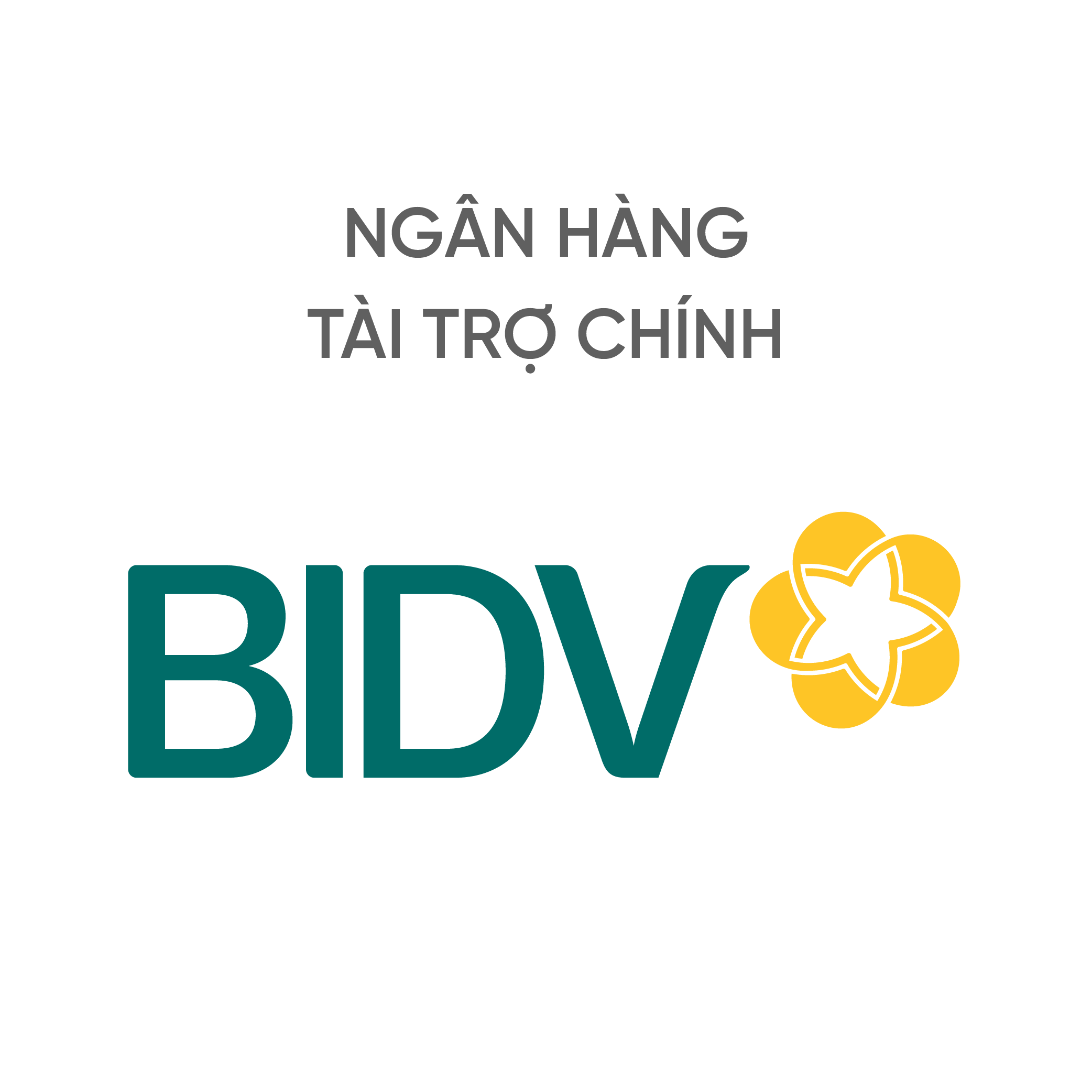 NGÂN HÀNG TÀI TRỢ